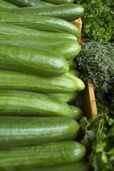 Salatgurken