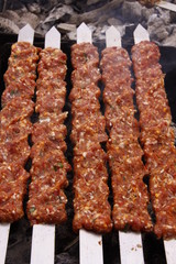 turkish kebab