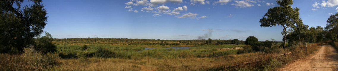 Fototapeta premium Panorama of bush land in South Africa