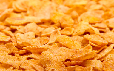 Cereals