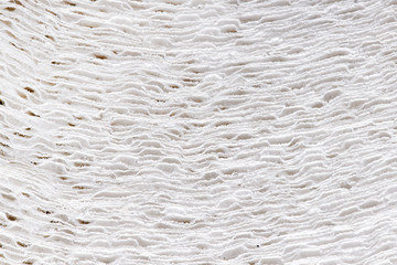 Close up of toilet paper`s roll.