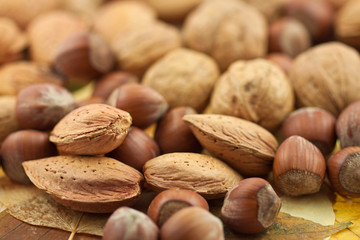 fruits secs d'automne : noix, noisettes, amandes