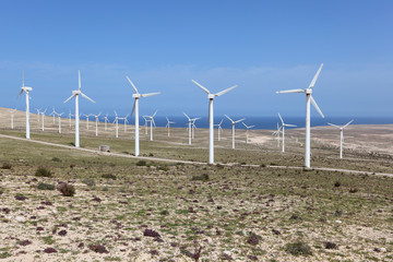 Wind turbines for clean energy.