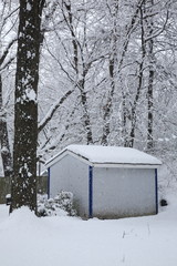 Snow Falling with Trees and Shed