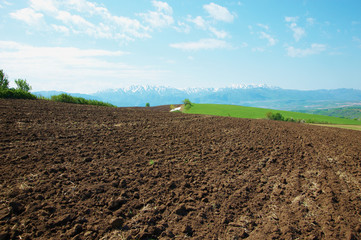 The plowed field