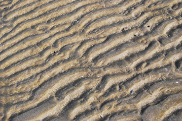 highly details texture of sand
