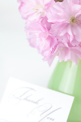 sakura flower in a vase and a card signed thank you isolated on