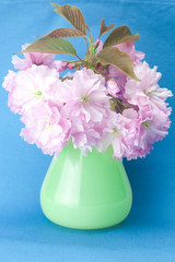 sakura flower in a vase and a card signed thank you on a blue ba