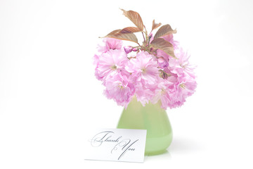 sakura flower in a vase and a card signed thank you isolated on