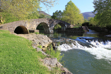 rivière sous un pont