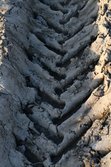 track in dirt