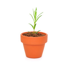 Umweltschutz, Symbol