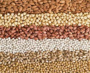 karısık kuruyemiş