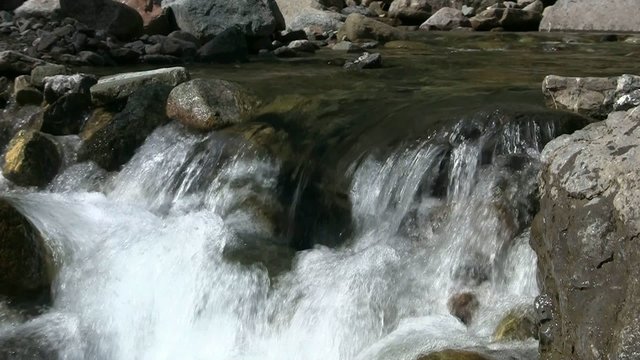 forest stream