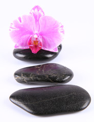 Fototapeta na wymiar Spa stones and an orchid flower on a white background