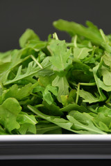 Rucola frisch