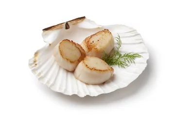 Tuinposter Seared scallops © Picture Partners