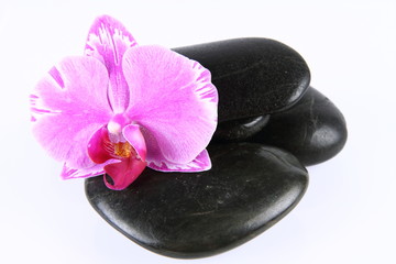 Spa stones and an orchid flower on a white background
