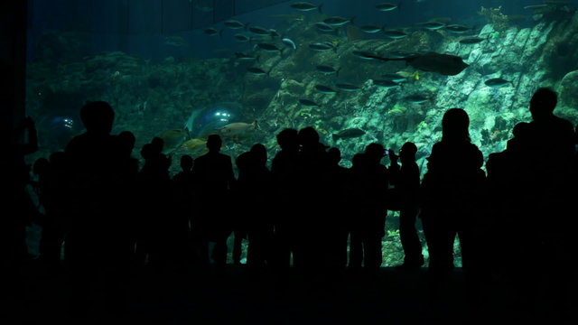 Oceanarium