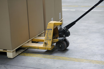 pallet truck with carton boxes