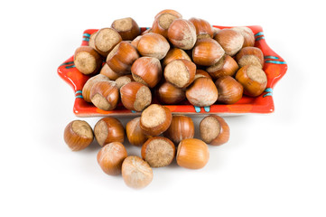 nocciole Piemonte