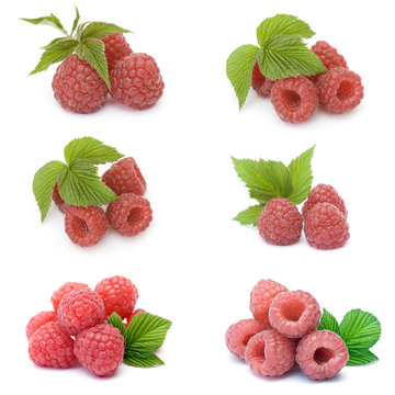 collection of fresh raspberries