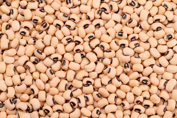 Kidney beans background