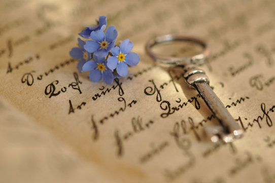 Key and Forget-me-not