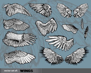 Vector set of  Wings