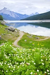 Photo sur Plexiglas Vert-citron Lac de montagne dans le parc national de Jasper, Canada