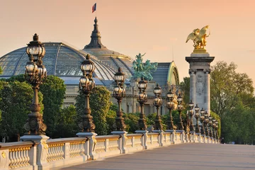 Foto op Plexiglas Pont Alexandre III Parijs in de ochtend