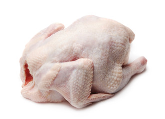 Raw chicken isolated