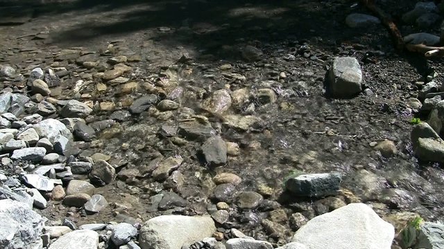 petit torrent de montagne