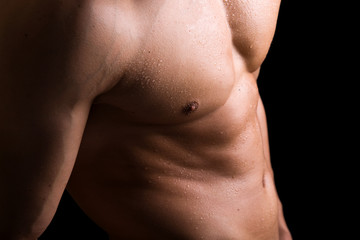 Muscled torso of a healthy young man