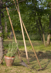 equipment to grow vegetables