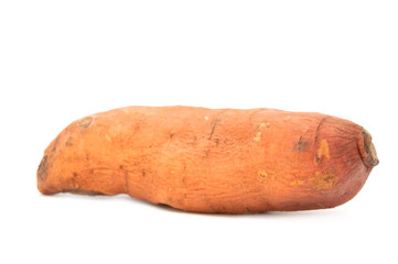 Sweet potato (ipomoea batatas)