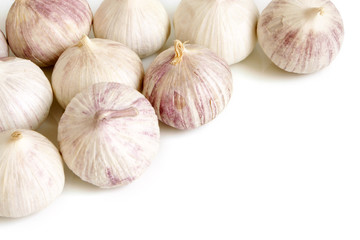 Solo garlic