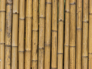 Bamboo Stick Pattern