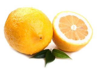fresh lemon