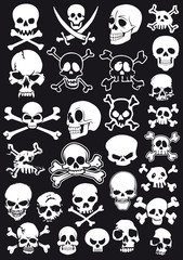 skulls vector set