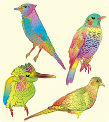 Four beautiful birds