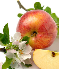 Apple with flowers