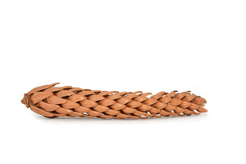 Obraz premium Pine cone