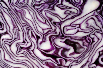 Red Cabbage Slice Texture