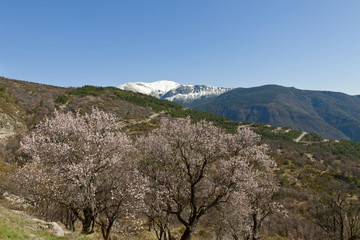 site of the ruined place called City , France