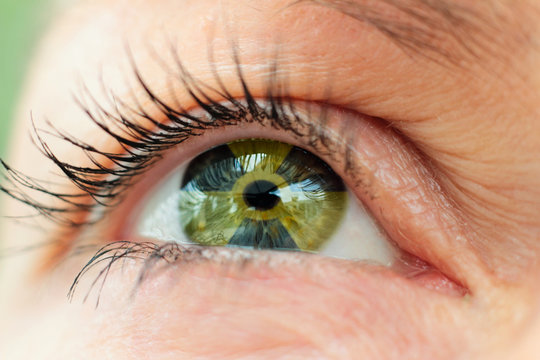 oeil radioactif