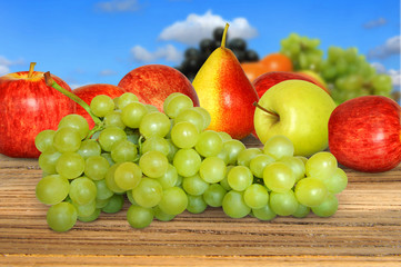 Obst 193