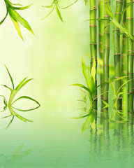 Fototapeta na wymiar Bamboo odbicie na powierzchni wody