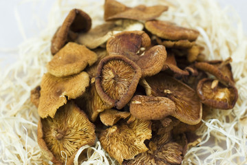 Dried mushrooms