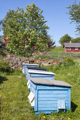 Naklejka premium Bee hives